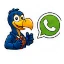 WhatsApp Leu Transporteur